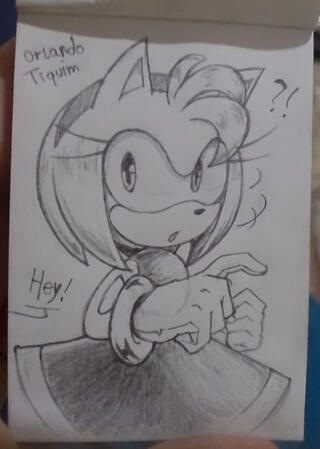 Amy Rose fanart